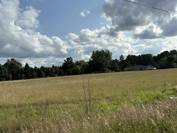 Mount Pleasant, MI 48858,TBD Shepherd Road