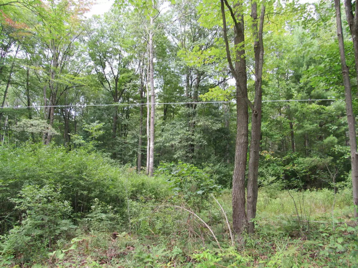 Tawas City, MI 48763,00 Duby Road