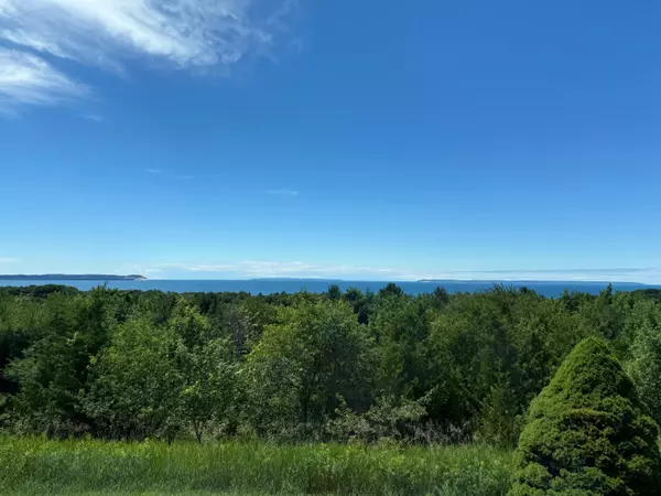 Lake Leelanau, MI 49653,338 N Manitou