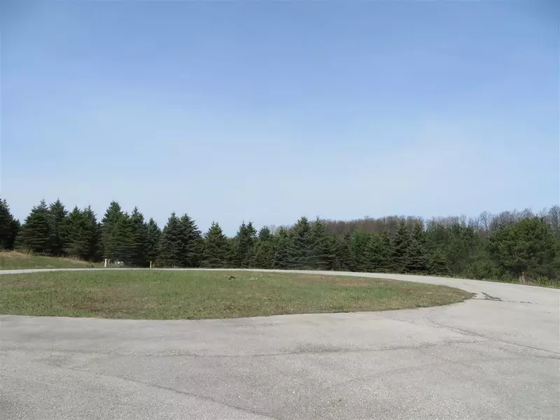 1 Spruce Hollow Trace, Fife Lake, MI 49633