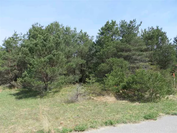Fife Lake, MI 49633,4 Spruce Hollow Trace