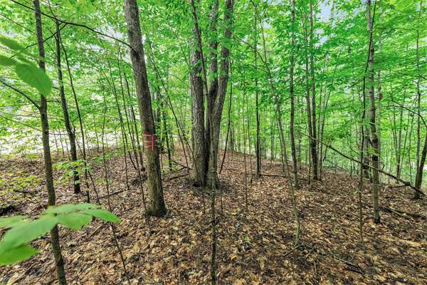 Thompsonville, MI 49683,Lot 42 Mountain Woods