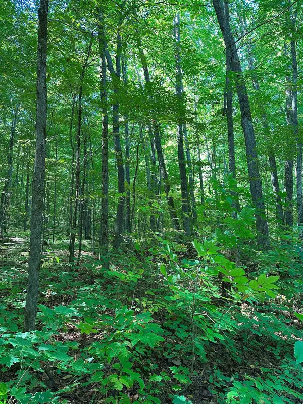 Kalkaska, MI 49646,000 Woodland Drive NE