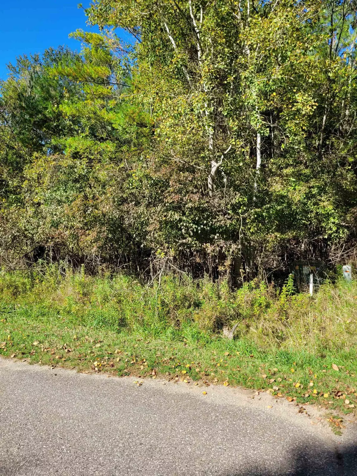 Gladwin, MI 48624,TBD LOT 58 W Berkshire