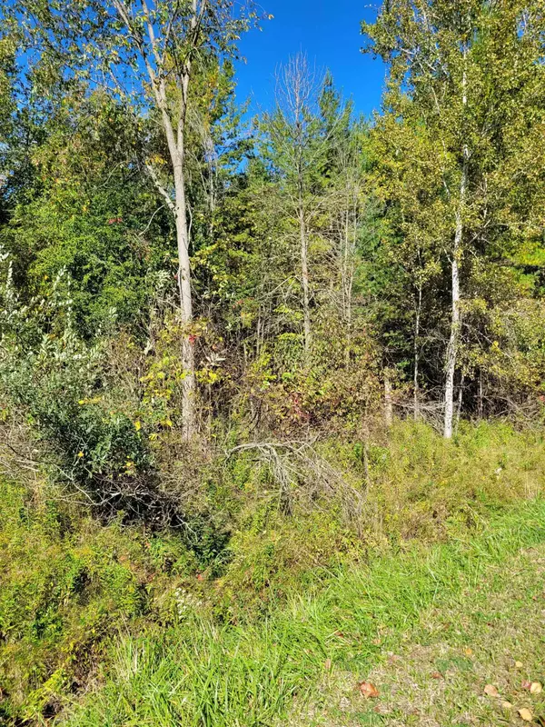 TBD LOT 59 W Berkshire, Gladwin, MI 48624