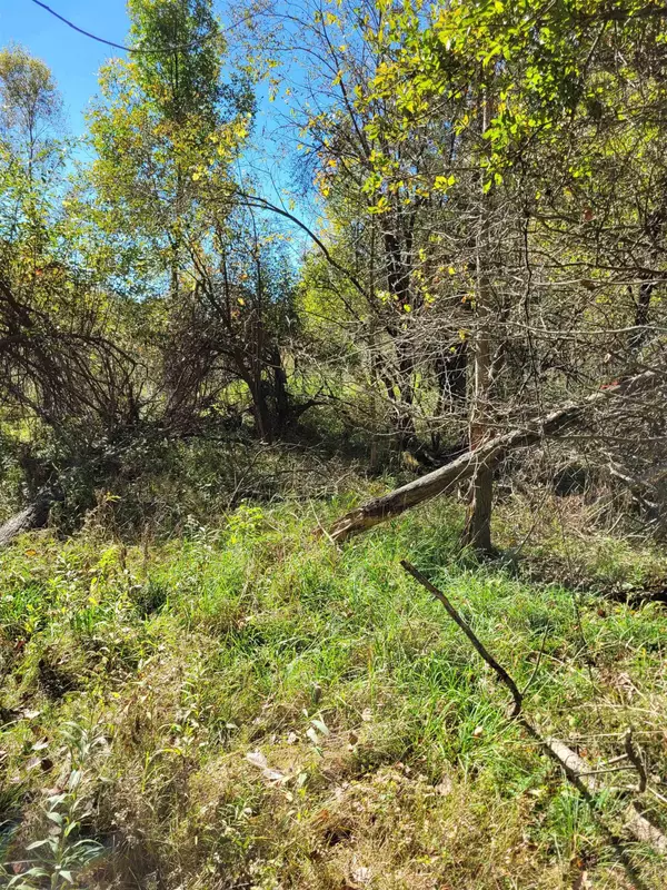 Gladwin, MI 48624,TBD LOT 59 W Berkshire Drive