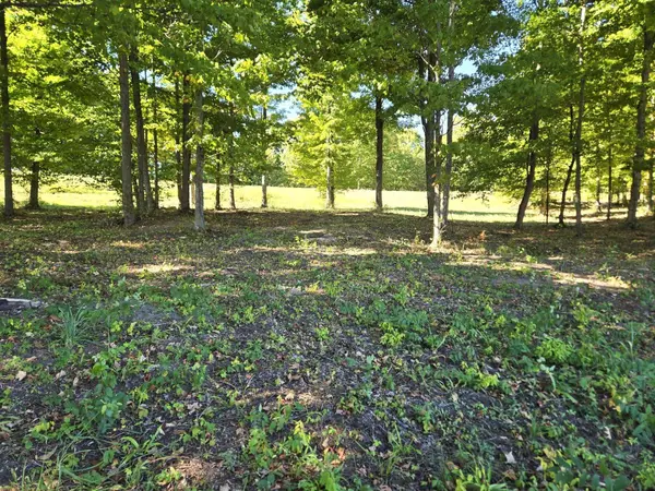 Beulah, MI 49617,0019 Heather Ridge Trail