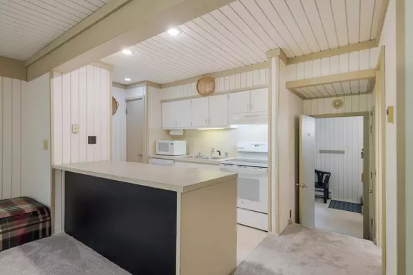 Bellaire, MI 49615,2500 Josef Strasse