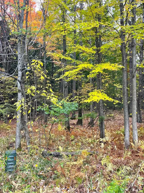 Mount Pleasant, MI 48858,TBD Hilltop Lane