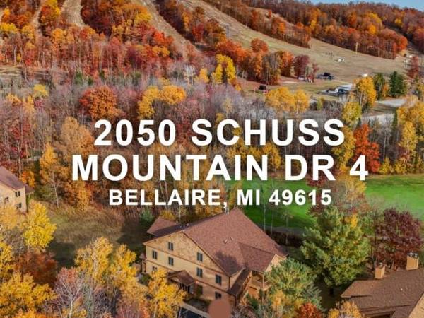 2050 W Schuss Mountain, Bellaire, MI 49615