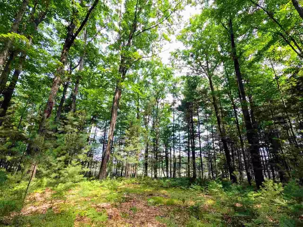 Kalkaska, MI 49646,864 SE Blue Heron Drive