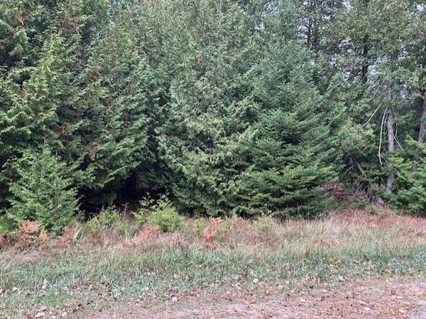 Lot 694 Huntington, Oscoda, MI 48750