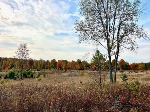 A7 S Bright, Maple City, MI 49664