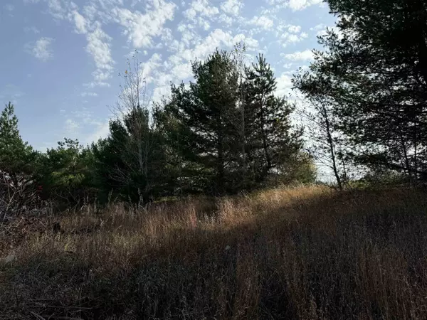 Traverse City, MI 49685,1863 Perrys Loop