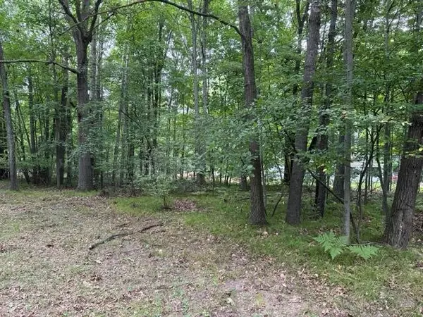 Lake Isabella, MI 48893,1064 Barcelona Drive