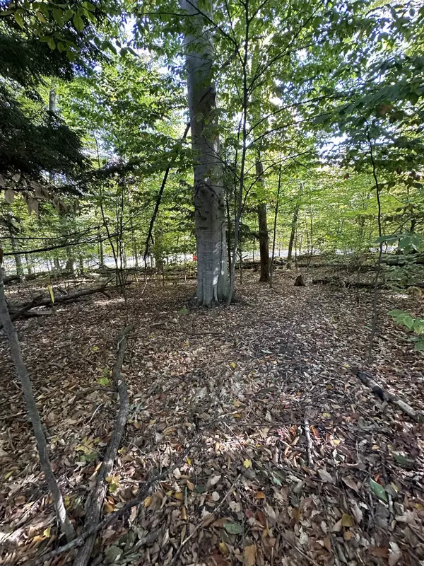 Frankfort, MI 49623,Lot 10 Block C Shorewood