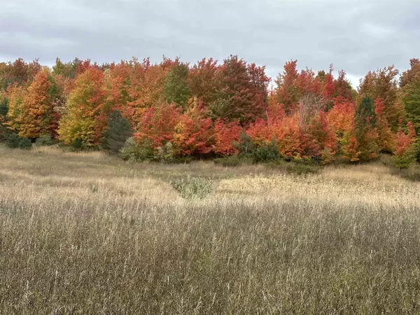 Lake Leelanau, MI 49621,40 Acres S Schomberg