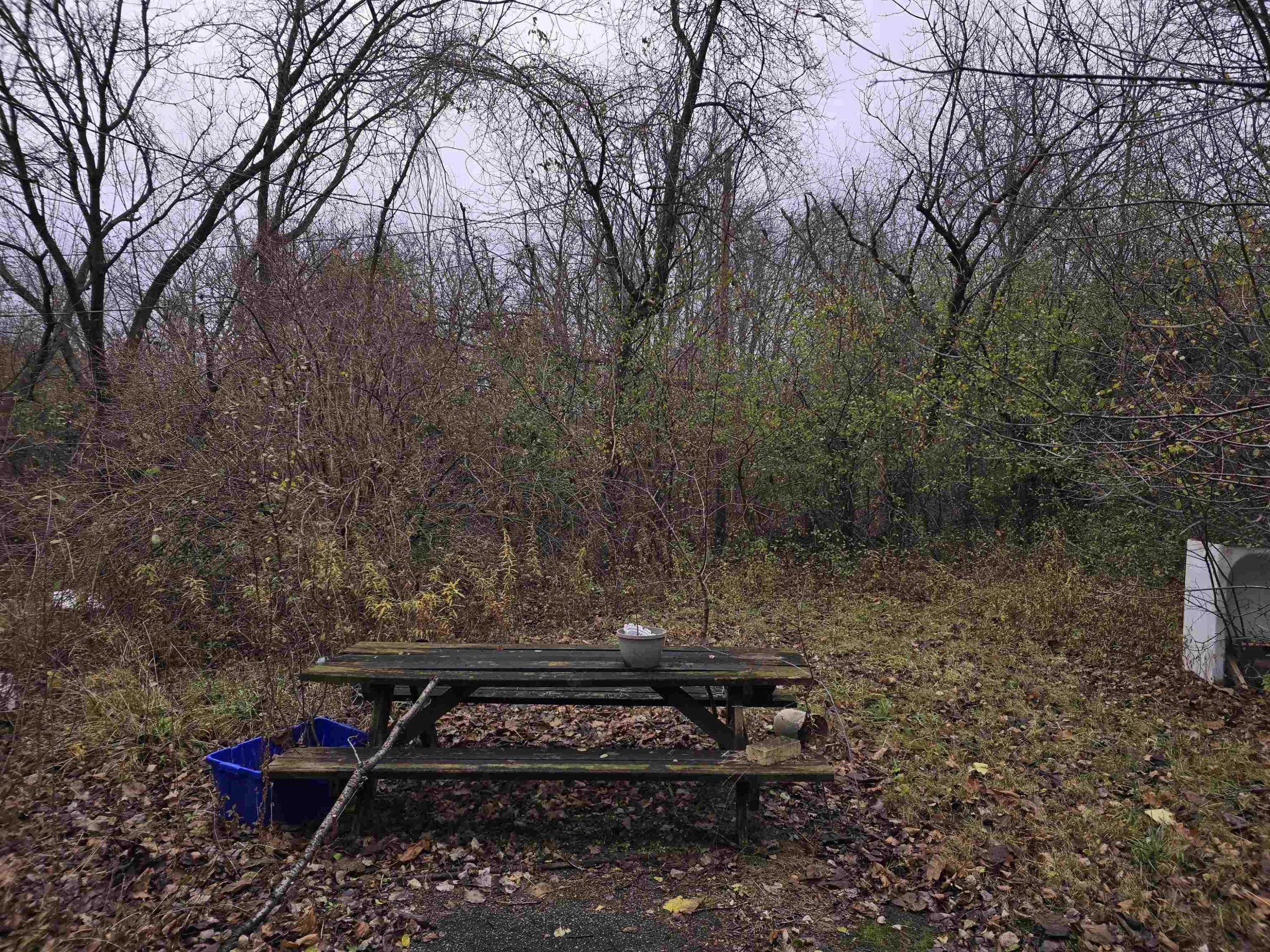 Saginaw, MI 48601,824 N 26th Street