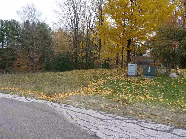 Kingsley, MI 49649,Lot 64 Eden