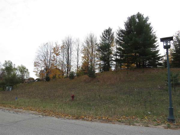 Kingsley, MI 49649,Lot 61 Eden