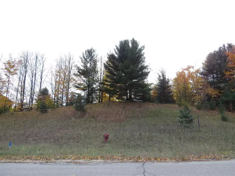 Lot 61 Eden, Kingsley, MI 49649