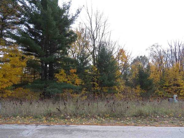 Lot 69 Eden, Kingsley, MI 49649