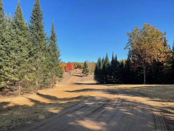 Lot 16 S Snyder Road, SW, Fife Lake, MI 49633