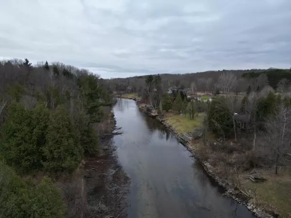 Lake Isabella, MI 48893,1100 Carmen