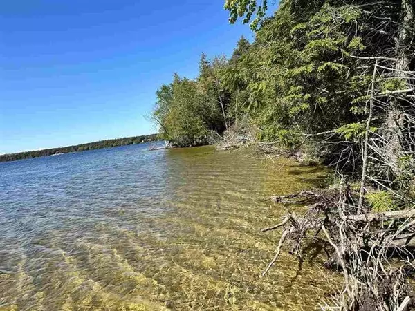 Lots 56 & 57 Spaulding, Beaver Island, MI 49782