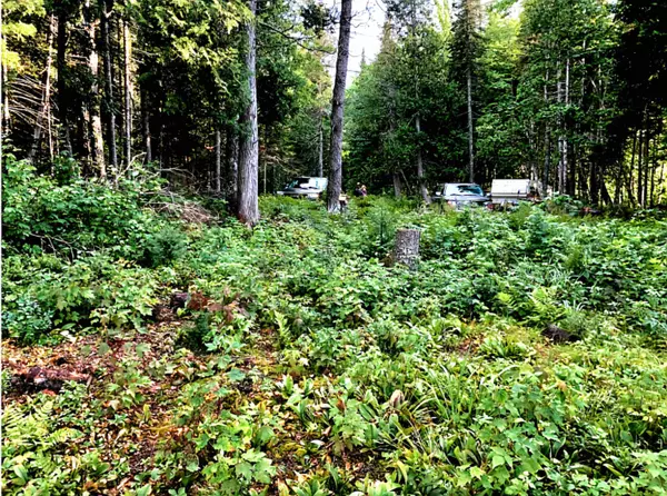 MI,TBD Keweenaw Pass Road