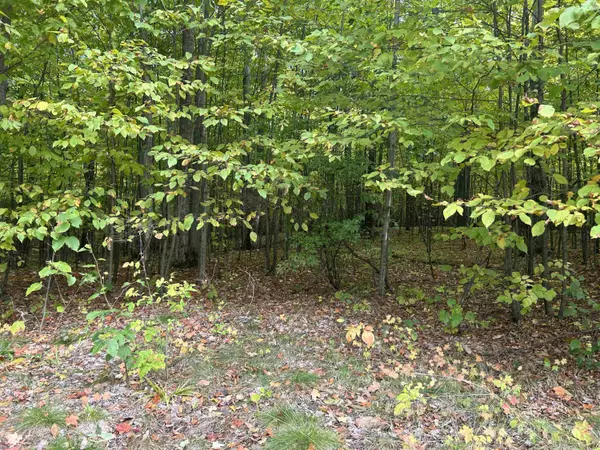 Bellaire, MI 49615,0 Robinson Ridge