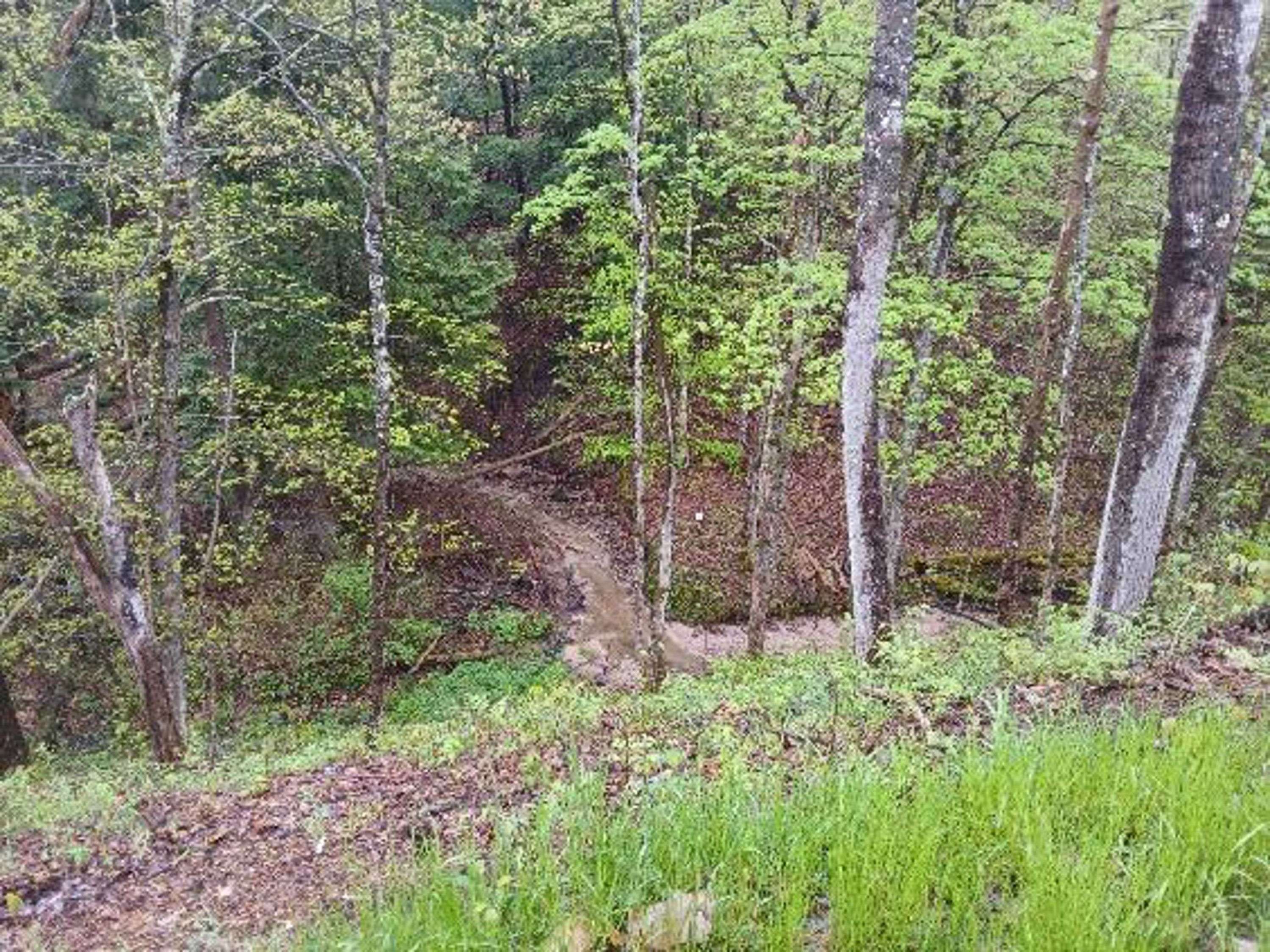 Wellston, MI 49689,8761 W 48 Road