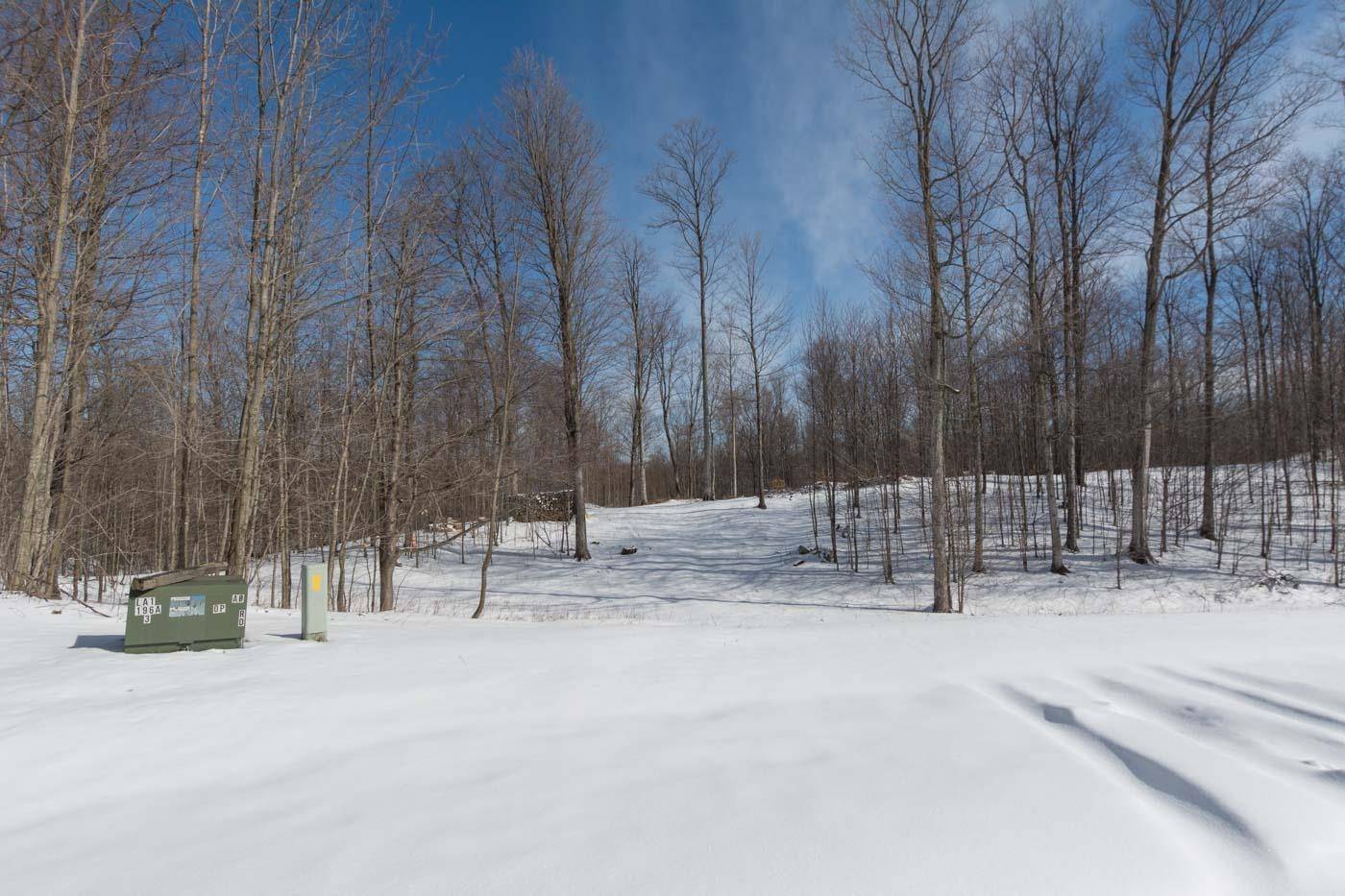 W Timber View Trail,  Empire,  MI 49630