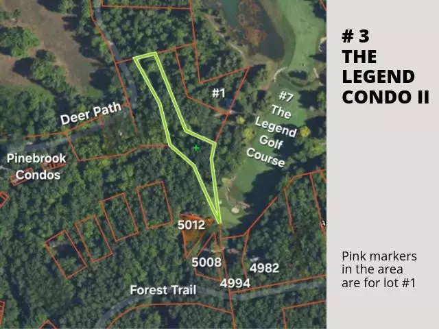 Bellaire, MI 49615,3 Deer Path