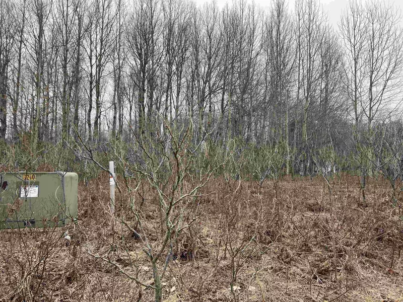 Lot 19 Crestview Drive, Cadillac, MI 49601