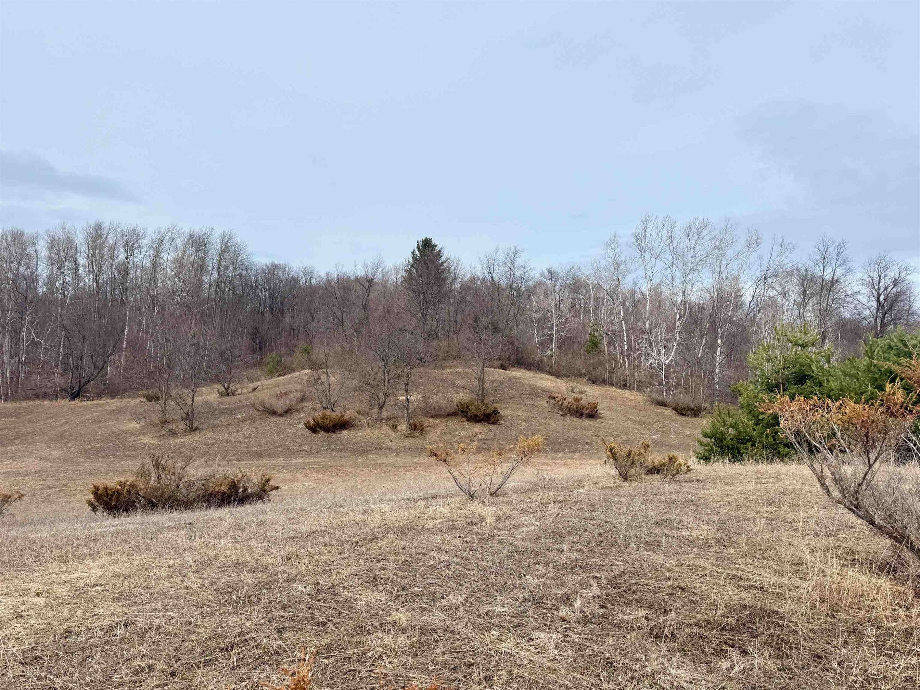 000 W Trumbull Road, Maple City, MI 49664