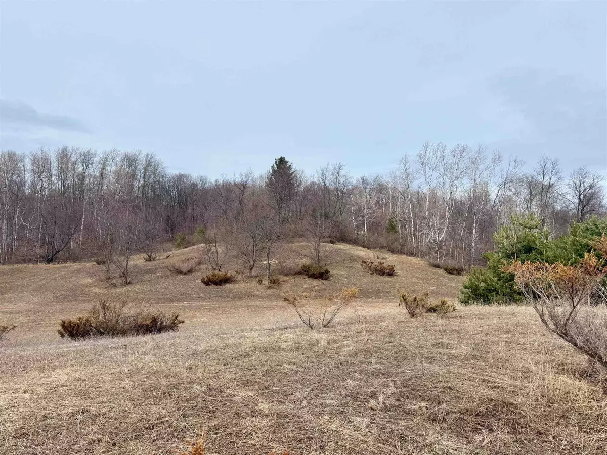 Maple City, MI 49664,000 W Trumbull Road