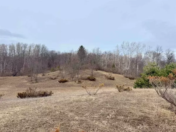 000 W Trumbull Road,  Maple City,  MI 49664