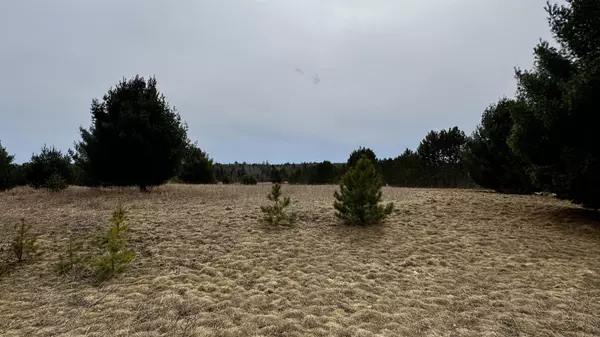 Cadillac, MI 49601,Lot #24 Wedgewood Court