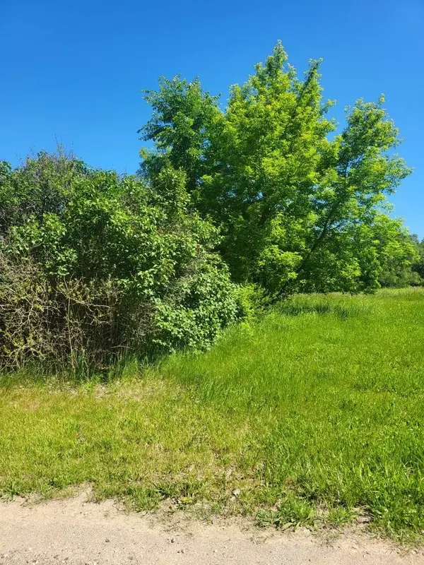 Mount Pleasant, MI 48858,4957 E Valley Road