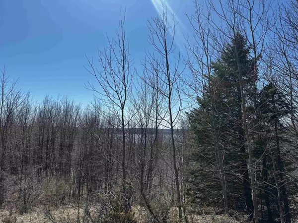 Beulah, MI 49617,7.06 Acres Eden Hill Road
