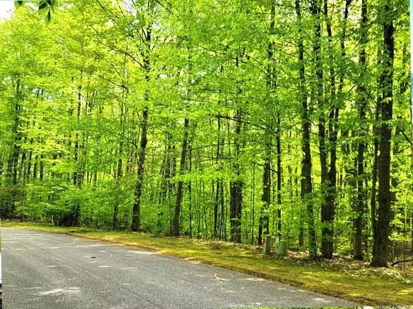 Bellaire, MI 49615,139 & 140 Laurel Valley