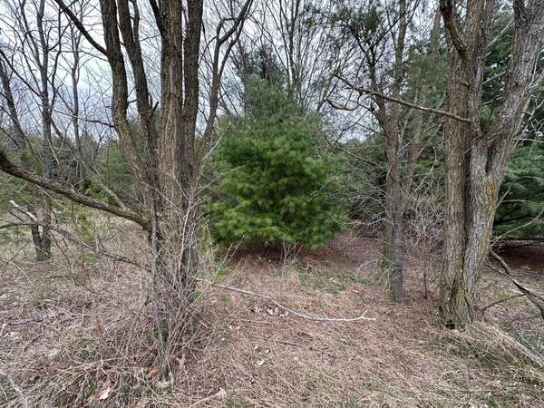 Bear Lake, MI 49614,V/L double lot 11th Street