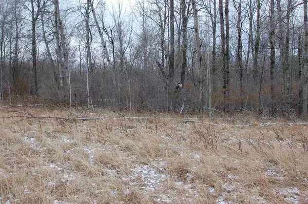 West Branch, MI 48661,0 S First Street