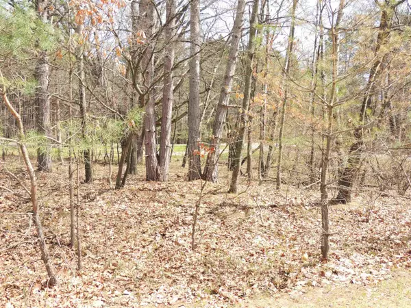 Lake Isabella, MI 48893,1026 York