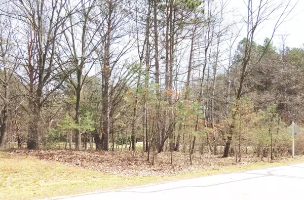 1026 York, Lake Isabella, MI 48893
