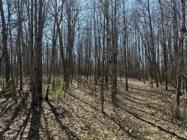 Reed City, MI 49677,Ticino Drive