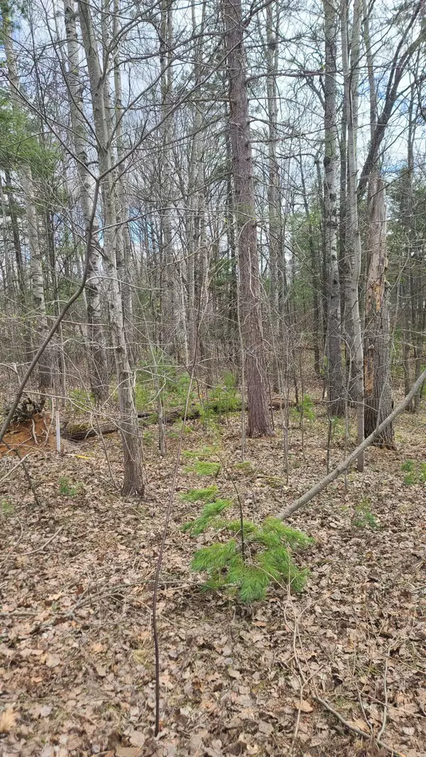 Kalkaska, MI 49646,0001 Laura Lane