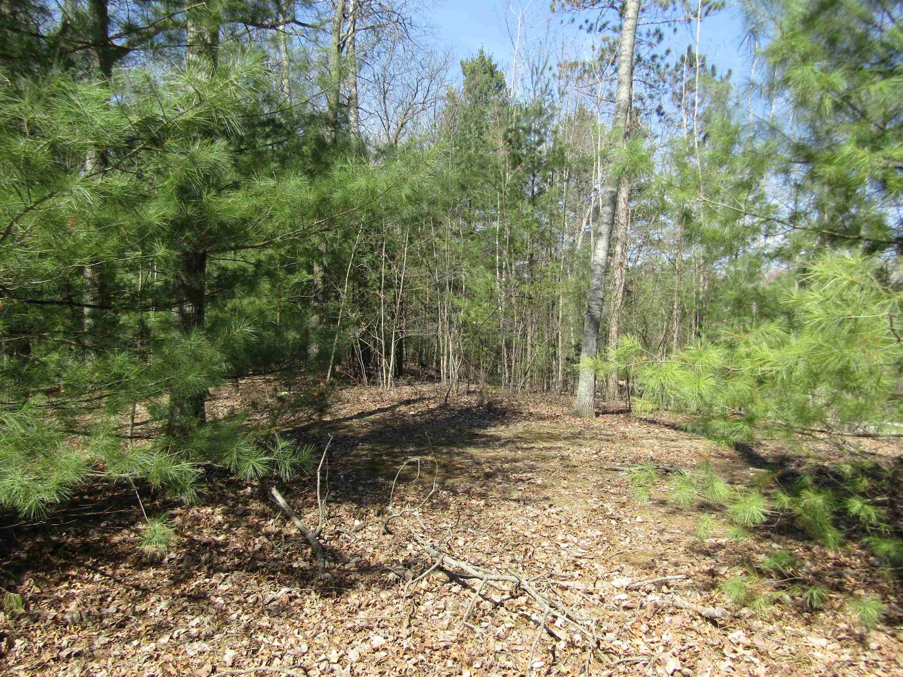 West Branch, MI 48661,00_VL Onondaga Trail