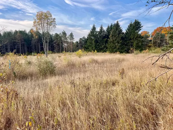Parcel A1 E Kasson Road, Maple City, MI 49664